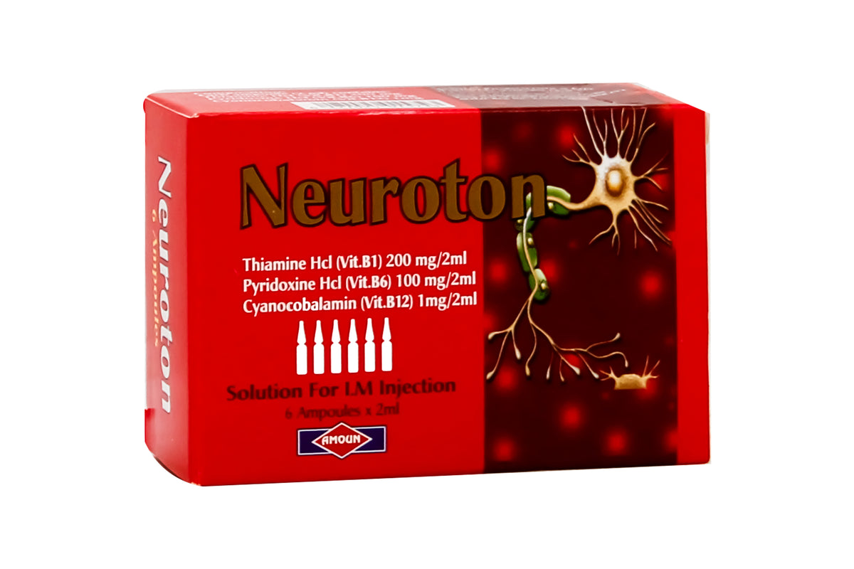 NEUROTON 6AMP