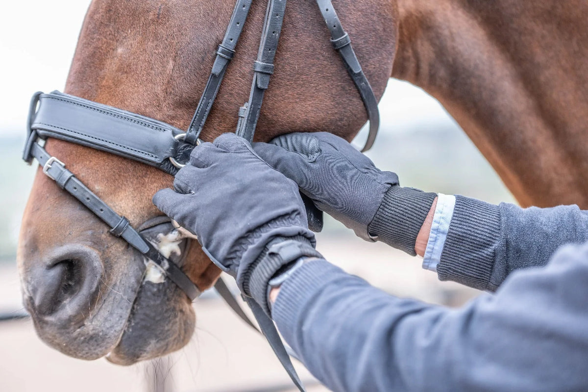 gloves hores*perfect