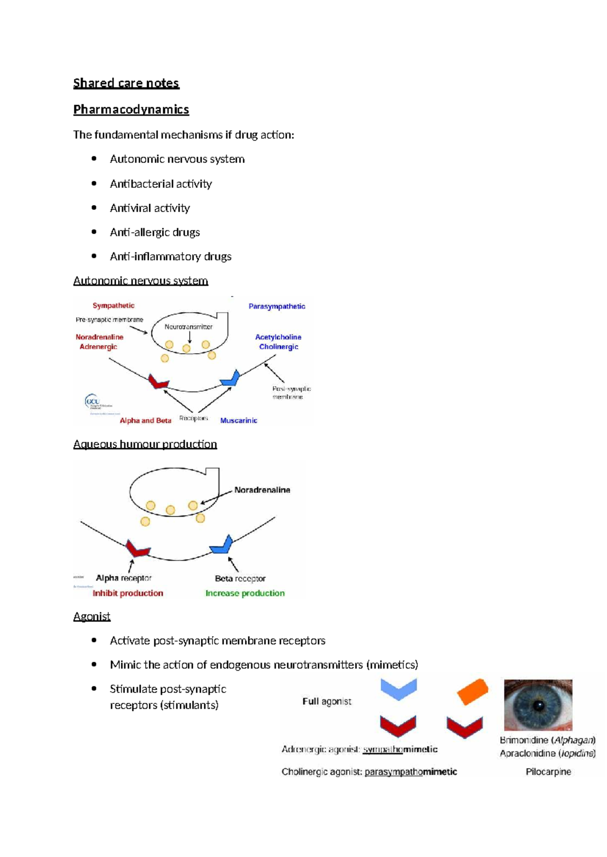 aflupro eye dp